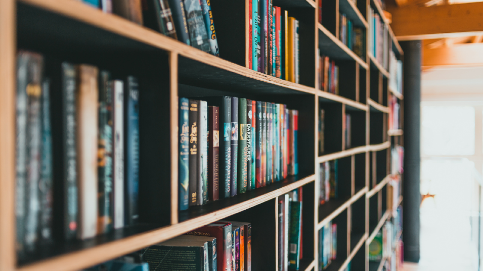RGRLL Faculty Publications 2024-2025