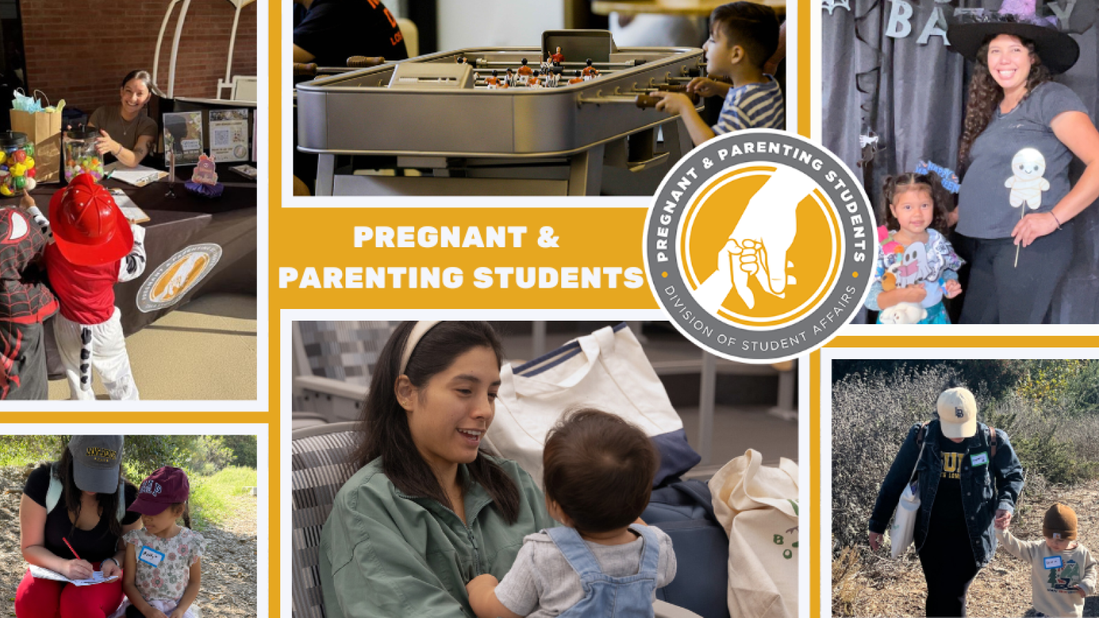Banner for Pregnant and Parenting Students