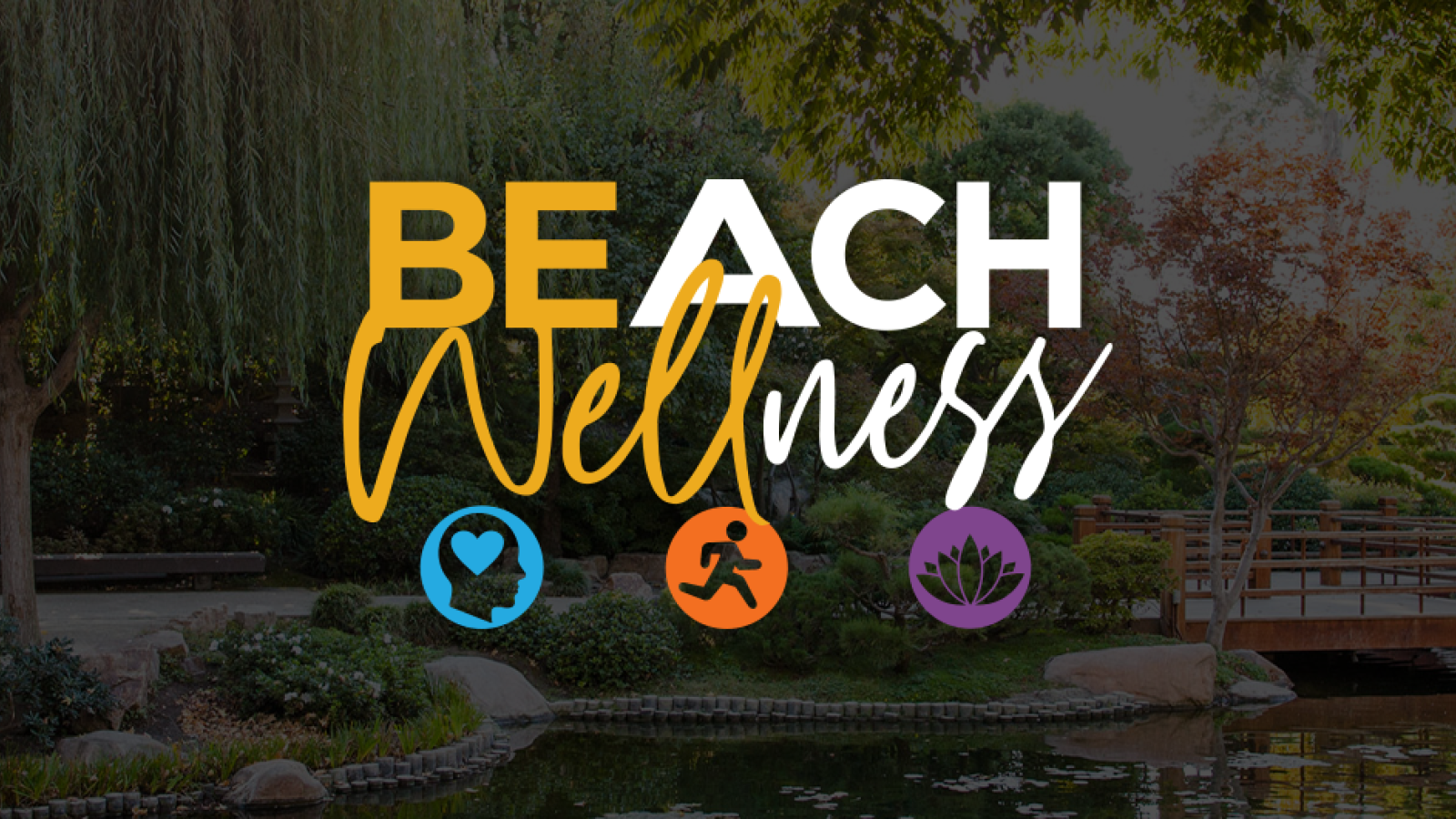 Beach Wellness banner