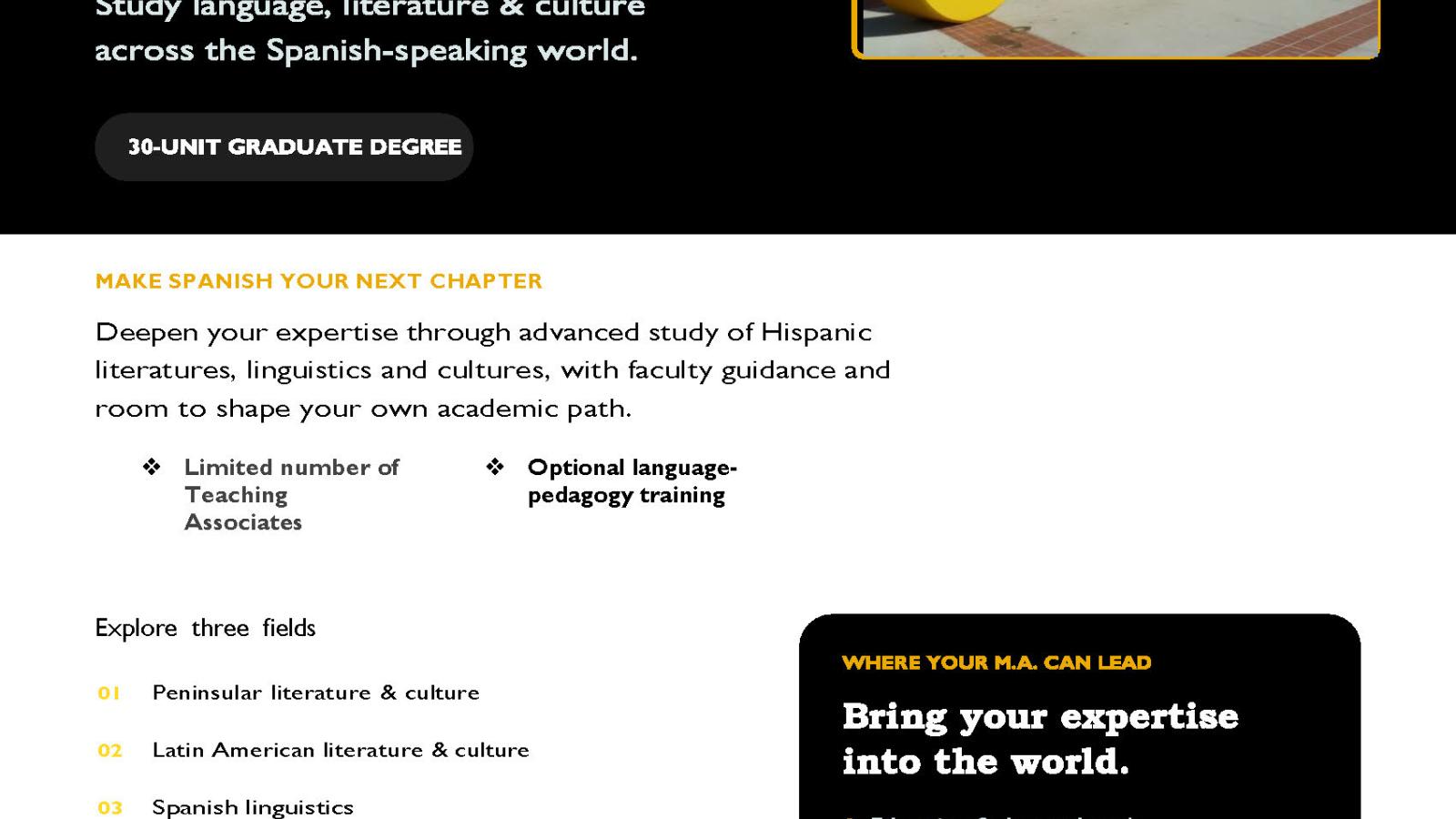 M.A. in Spanish Flyer