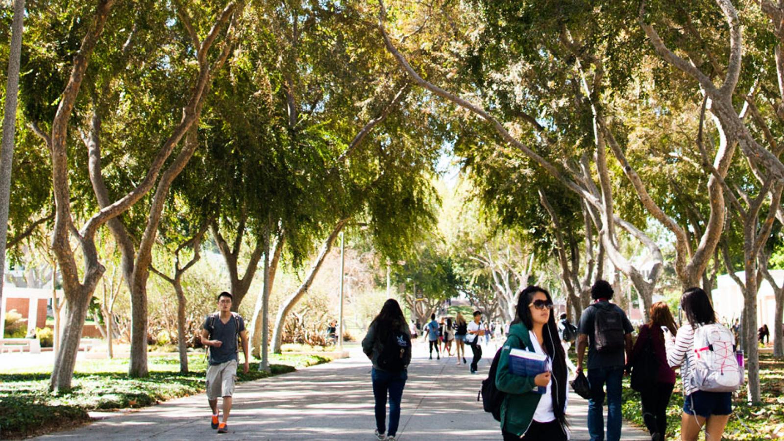 Csulb Online Classes Spring 2024 Cassi Cynthie