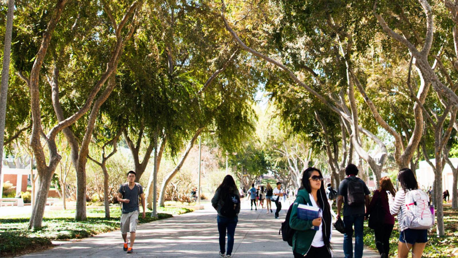 Students walking on campus