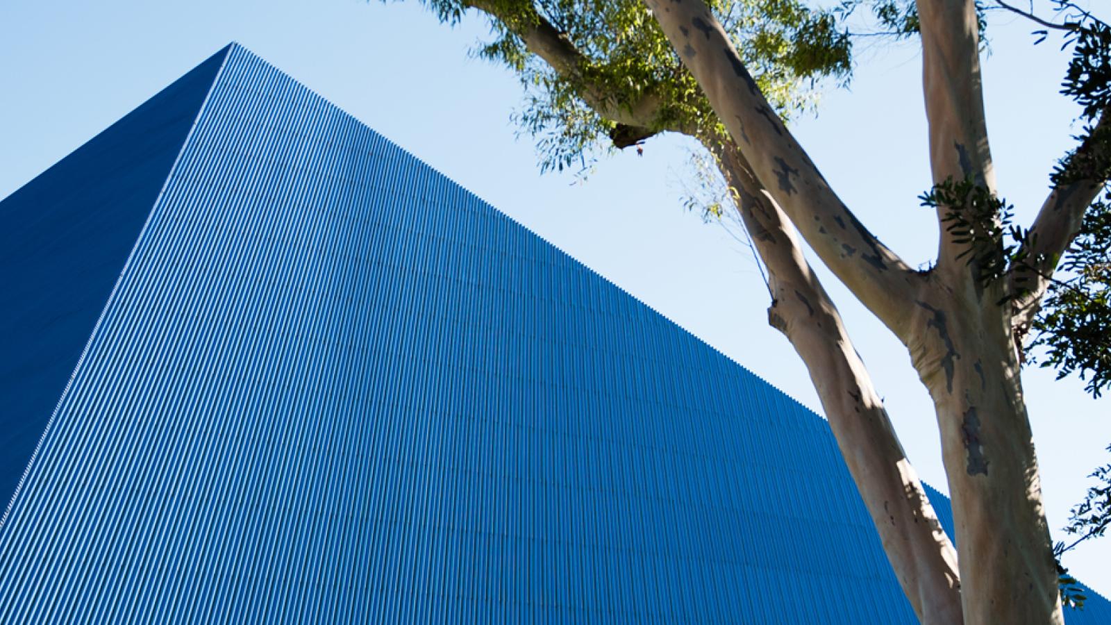The blue CSULB Pyramid among campus trees