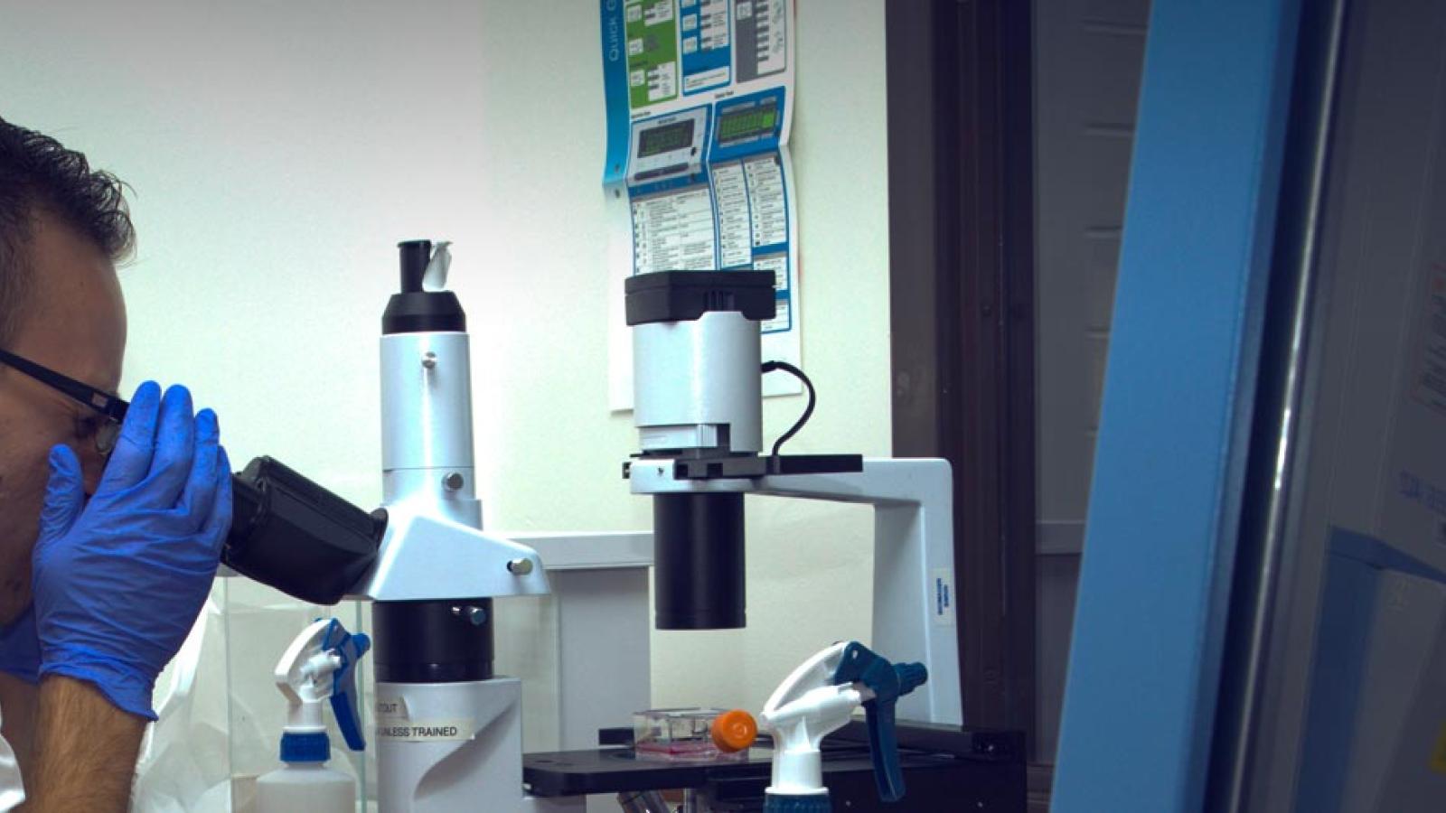 Students in the lab