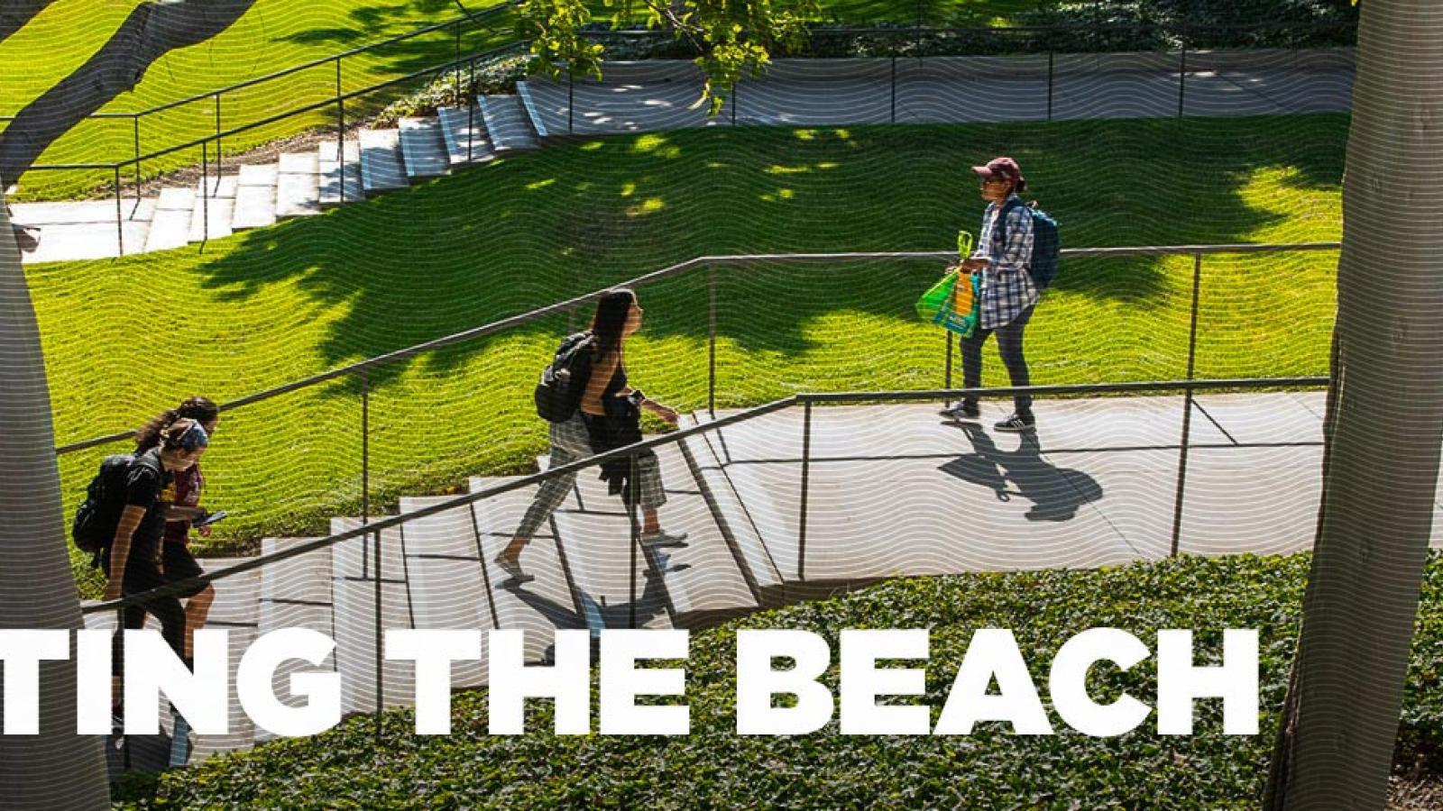 Reuniting the Beach