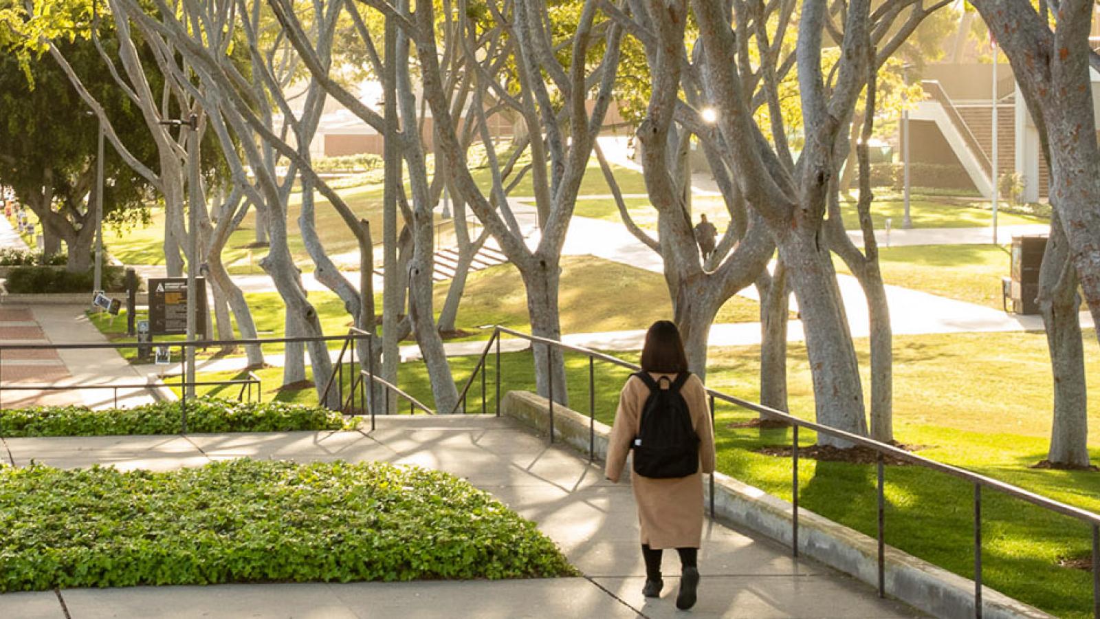 Students on campus