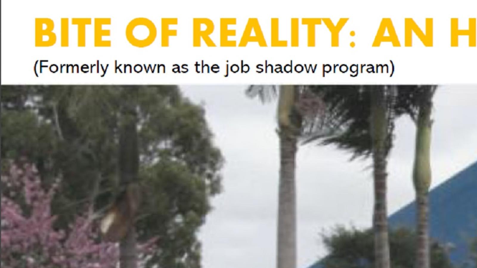 a bit of reality AN HR EXPERIENCE