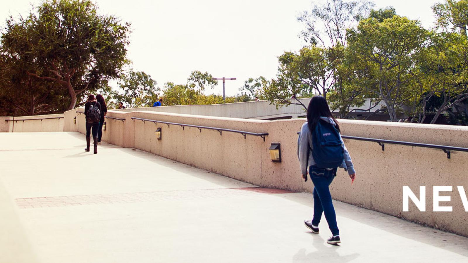 Students walking over a bridge near Brotman Hall