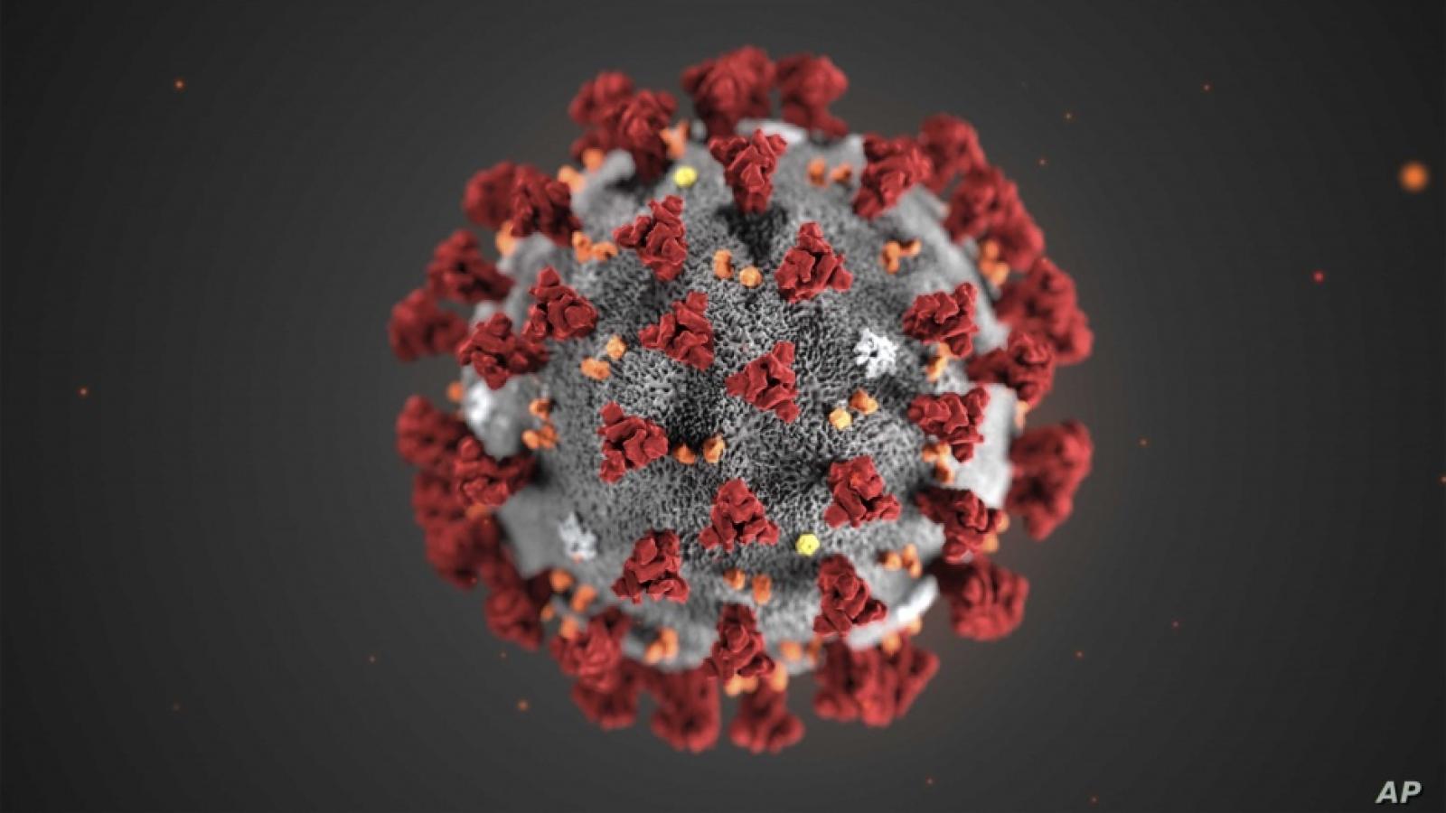 Zoomed preview of coronavirus 
