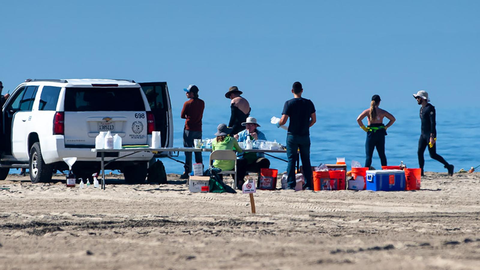 CSULB students stand along shoreline, waiting for instructions