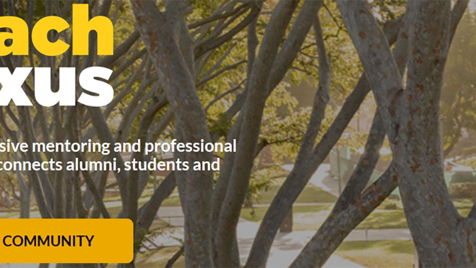 Beach Nexus - CSULB's exclusive mentoring and professional network
