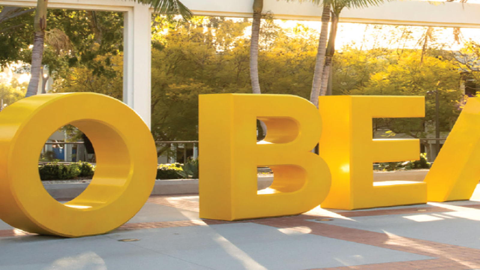 Go Beach Banner 