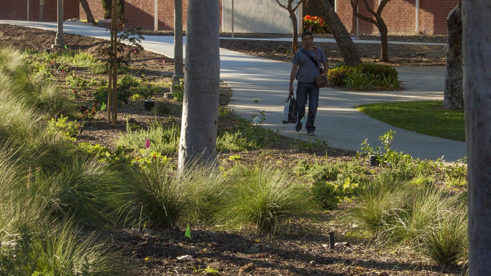 Student Walking along Walkway