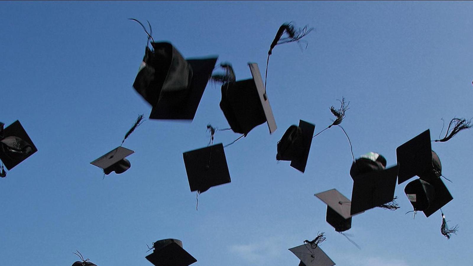 Senior Profile Banner