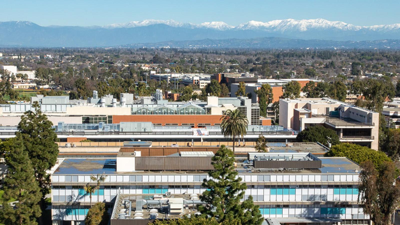 aerial campus view