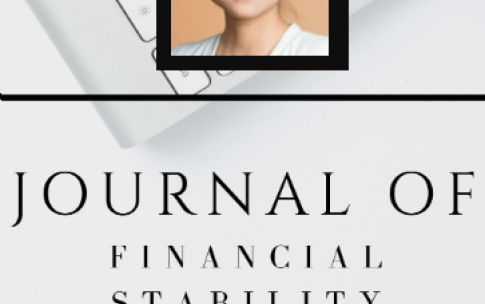 Lu Zhu Journal of Financial Stablity