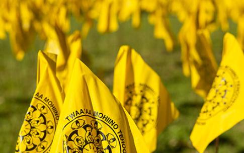 Small yellow flags on lawn 