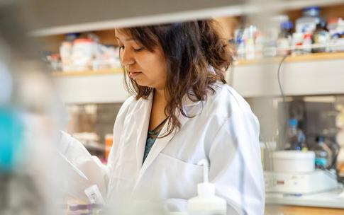 CSULB student in lab