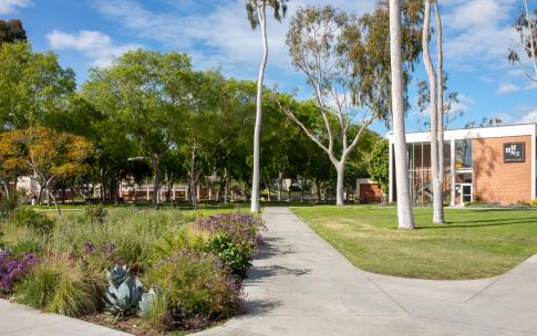 walkways on campus