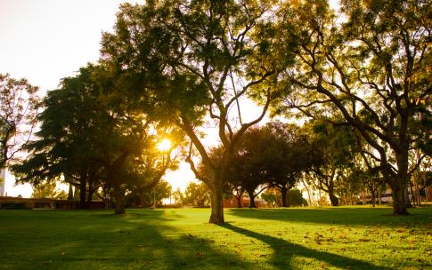 sunset on campus