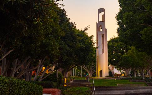 CSULB campus in the evening