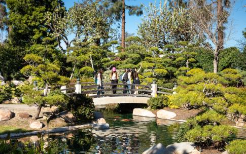 Bridge over Japanese Garden