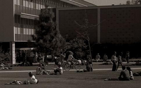 Vintage photo of campus