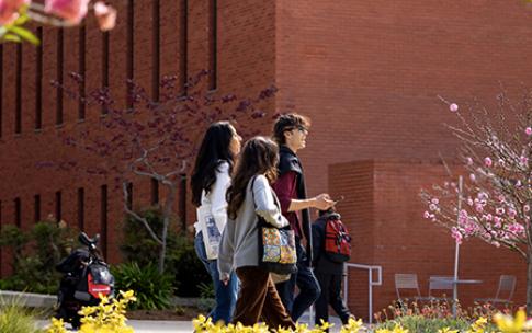 Students walking on campus