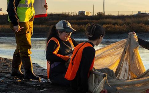 Three people look in a net at water's edge at sunrise