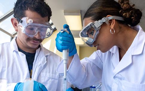CSULB science students using a pipette