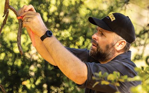 Man ties survey tape to a branch in a wooded area.