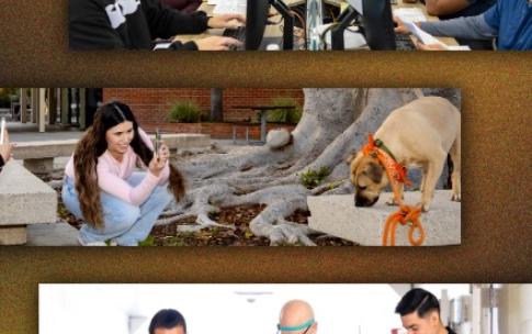 Students collaborate at computer stations, photograph a campus dog outdoors and practice guided mobility.