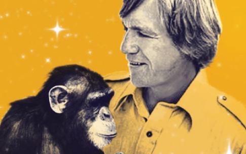 A yellow graphic featuring a man holding a chimp 