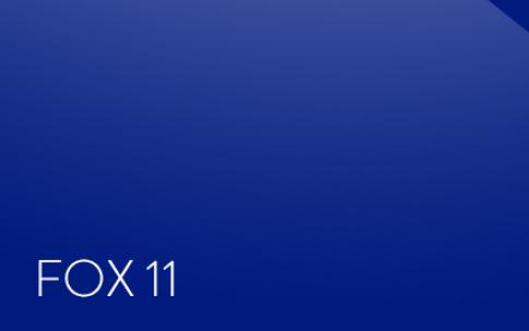 Fox 11