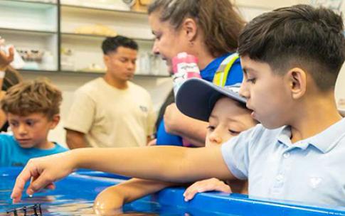 Young people stand with hands in touch tank