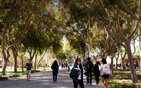 Banner Walk CSULB