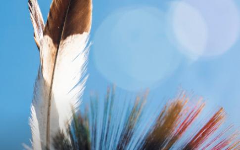 Pow Wow participant