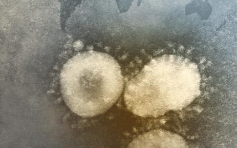 Coronavirus 101