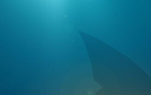 Home of the shark
