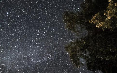 stars