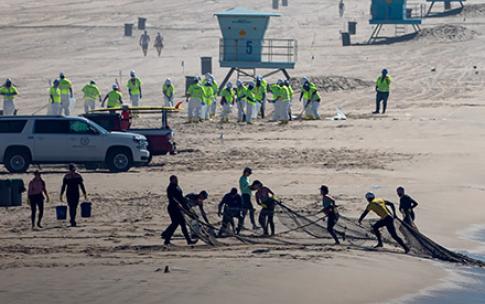CSULB students pull nets of fish in from shore 
