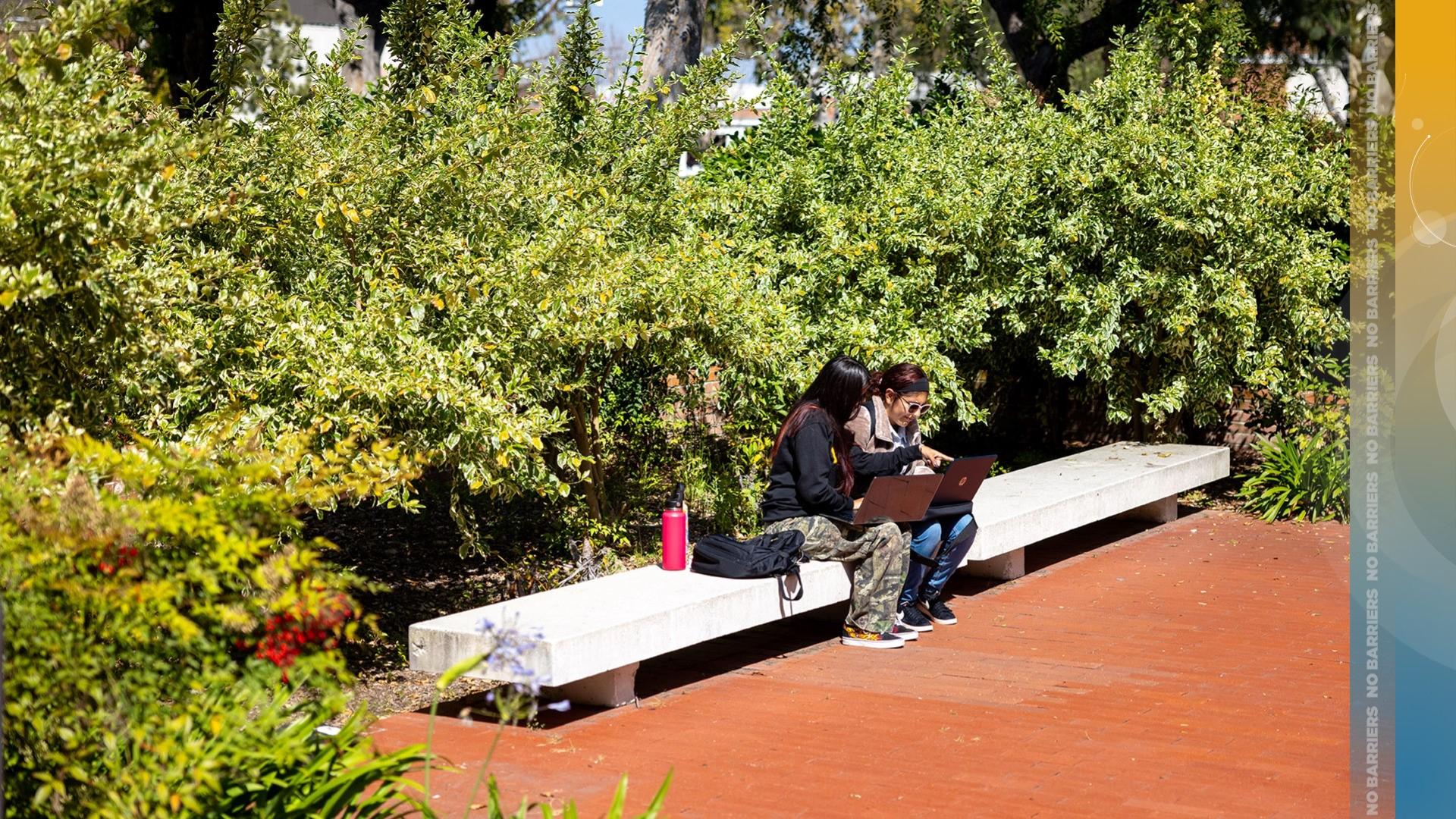 A peer mentor and a student mentee study while seated on a bench.