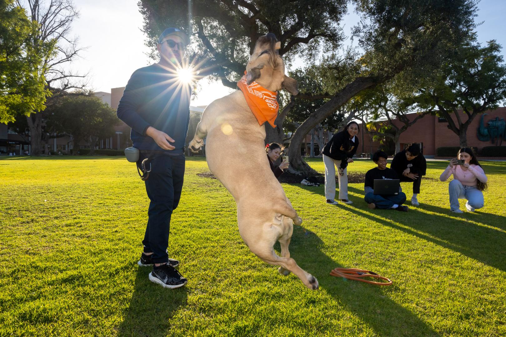 A dog leaps in the air while students take pictures on their phones