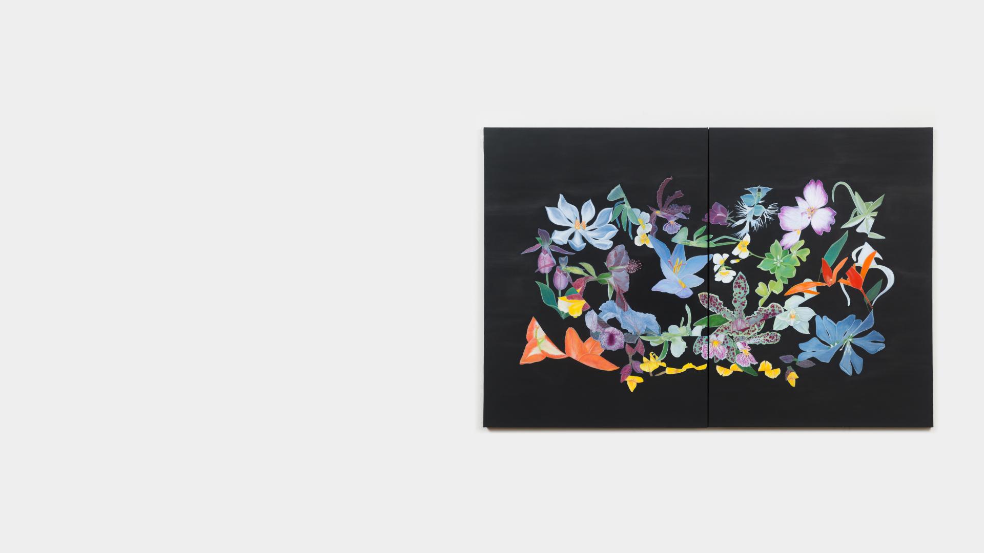 KCAM Velia banner