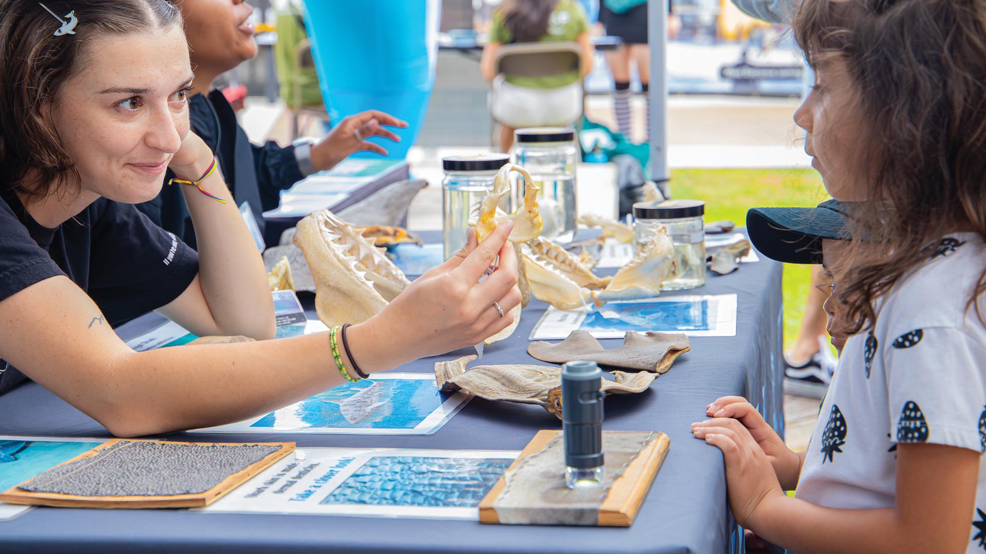 A person shows marine specimens to children at a table with shark jaws