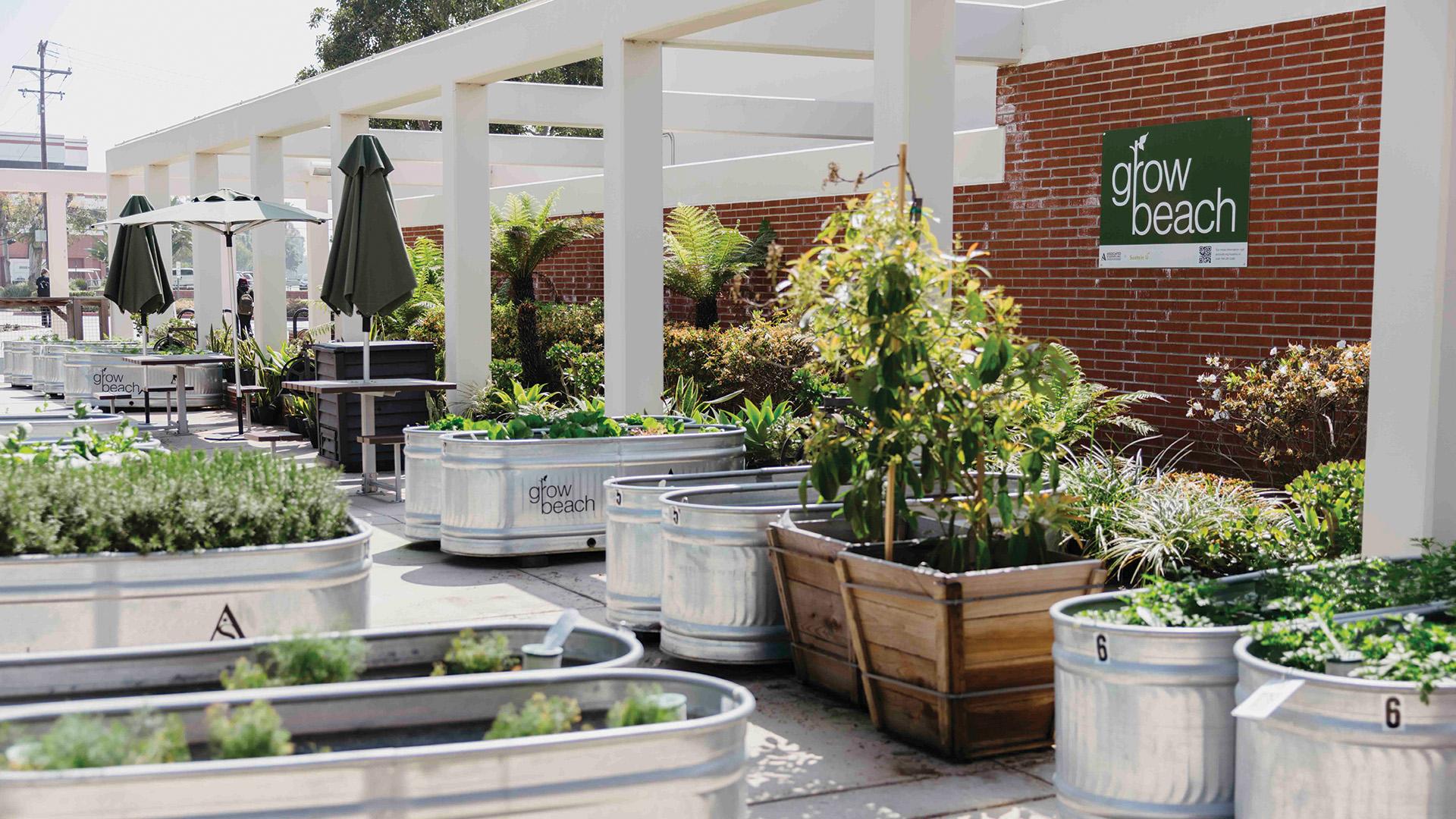 The Grow Beach garden