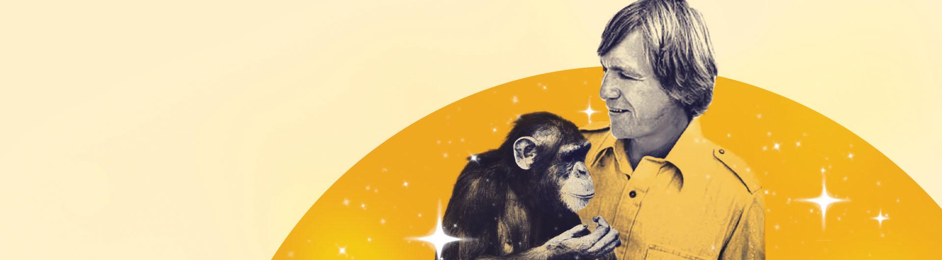 A yellow graphic featuring a man holding a chimp 