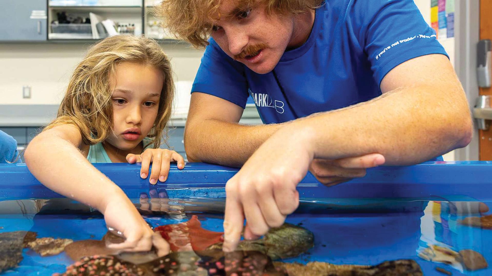 A person points at marine specimens in a touch tank while two children watch