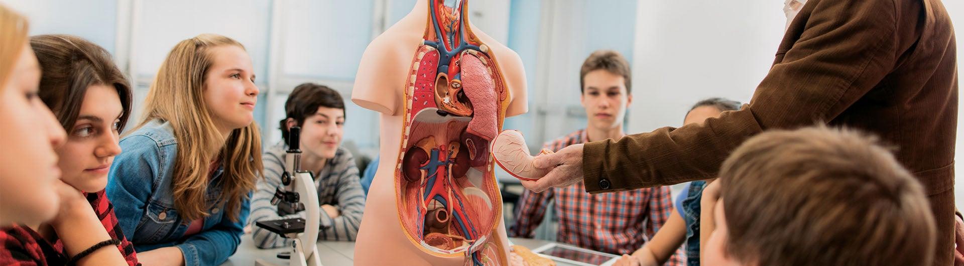 Decorative banner: health science classroom instruction