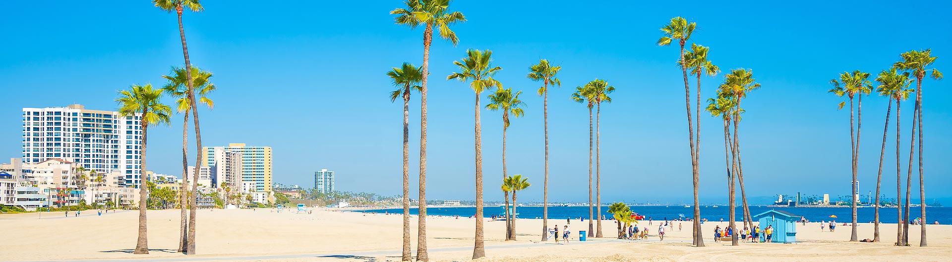 Palm trees and a wide sandy beach along the Long Beach shoreline